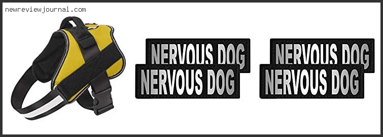 Best Harness For Nervous Dog