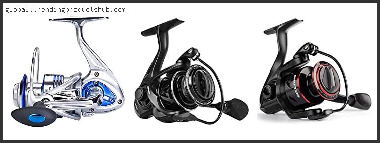 Top 10 Best Budget Spinning Reel For Bass Reviews For You