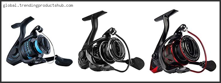 Top 10 Best Budget Saltwater Spinning Reel – Available On Market