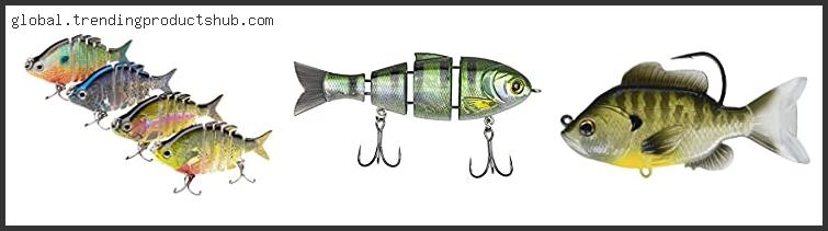 Top 10 Best Bluegill Swimbait With Expert Recommendation