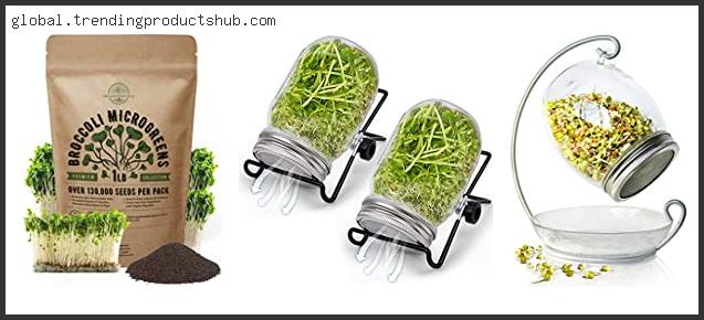 Top 10 Best Broccoli Sprouting Kits – To Buy Online