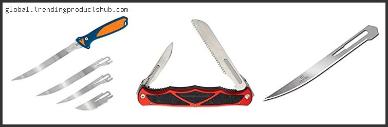 Top 10 Best Havalon Knife Reviews For You