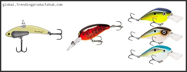 Top 10 Best Crankbait For Largemouth Bass With Buying Guide