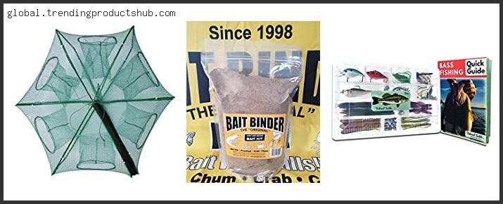 Top 10 Best Bait For All Fish With Buying Guide
