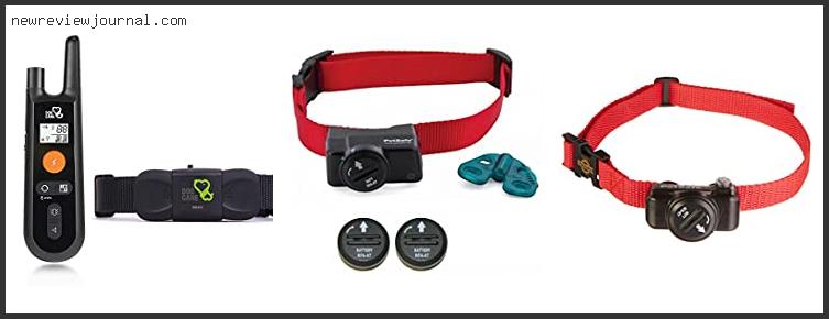 Best Deals For Petsafe Shock Collar For Small Dogs Reviews With Products List