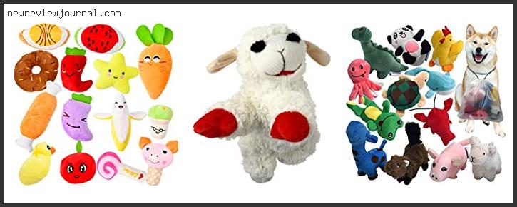 Top 10 Best Plush Toys For Puppies – Available On Market