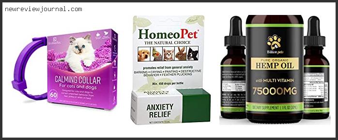 Best Cat Anxiety Medication