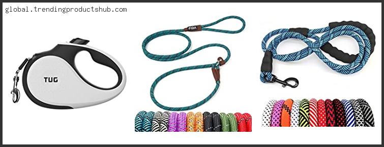 Top 10 Best Puppy Leash Based On Customer Ratings