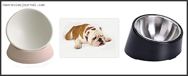 Deals For Best Water Bowl For English Bulldog Based On User Rating