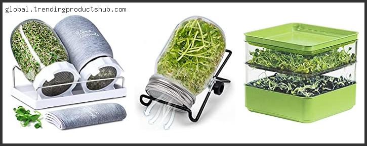Top 10 Best Broccoli Sprout Kit Reviews For You