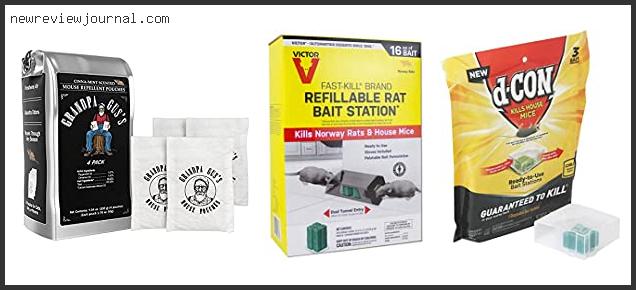 Best Rat Poison For Garage