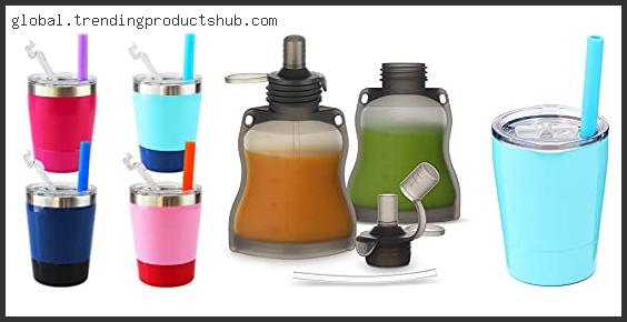 Top 10 Best Sippy Cup For Smoothies Reviews With Products List