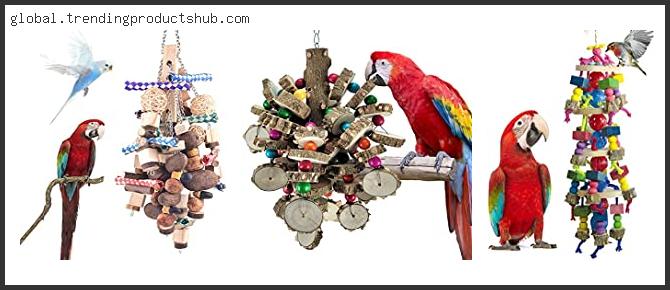 Best Toys For Macaws