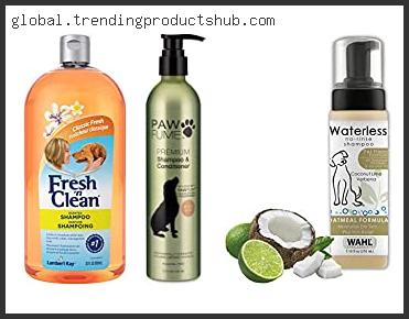 Best Dog Shampoo For Smelly Dogs