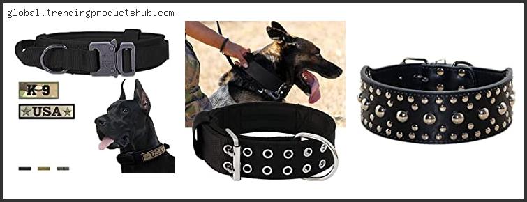 Top 10 Best Collar For Doberman With Buying Guide