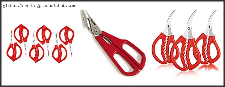 Top 10 Best Seafood Shears With Expert Recommendation