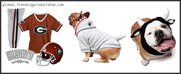 Top 10 Best Bulldog Costumes With Expert Recommendation