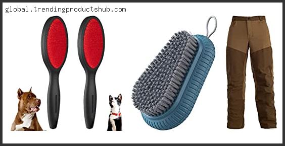 Top 10 Best Clothes Brush Reviews With Scores