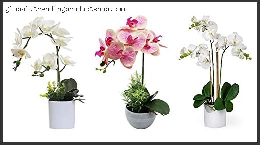 Top 10 Best Fake Orchid Reviews With Scores