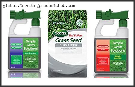 Top 10 Best Liquid Grass Seed Reviews For You