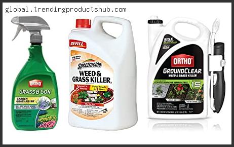 Top 10 Best Weed And Grass Killer For Flower Beds Reviews With Products List