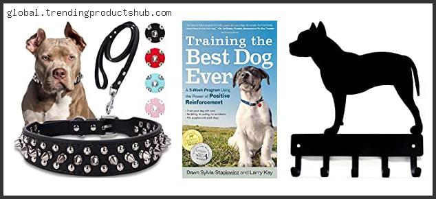 Top 10 Best Leashes For Pitbulls Reviews For You