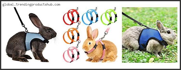 Top 10 Best Harness For Bunnies – Available On Market