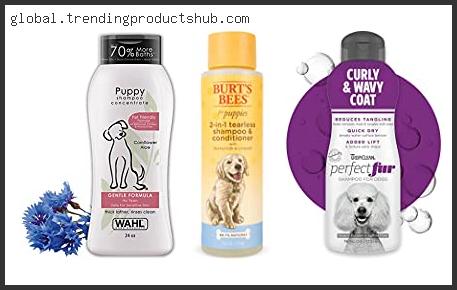 Top 10 Best Shampoo For Bernedoodles With Expert Recommendation