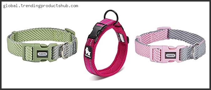 Top 10 Best Collars For Dogs With Sensitive Skin – To Buy Online