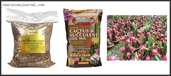 Buying Guide For Best Potting Soil For Dragon Fruit Based On Customer Ratings