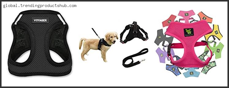Top 10 Best Harness For Lab Puppy With Expert Recommendation