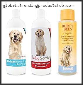 Top 10 Best Shampoo And Conditioner For Golden Retriever Based On Customer Ratings