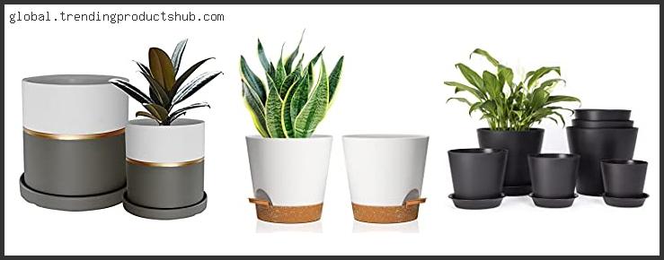 Top 10 Best Planters For Aloe Plants With Buying Guide