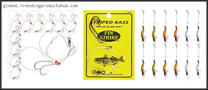 Top 10 Best Bait For Porgy With Expert Recommendation