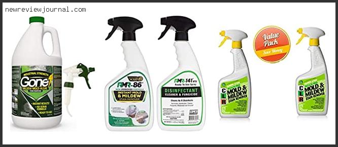 Top 10 Best Mold Remover For Painted Walls – Available On Market