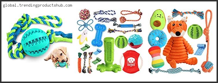 Top 10 Best Chew Toys For Goldendoodle Puppy In [2024]