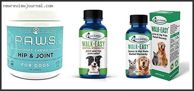 Top 10 Best Anti Inflammatory Medication For Dogs In [2024]