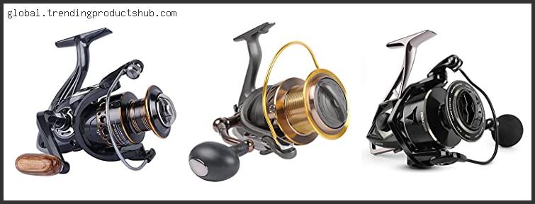 Top 10 Best Saltwater Spinning Reels Under 100 Reviews With Products List