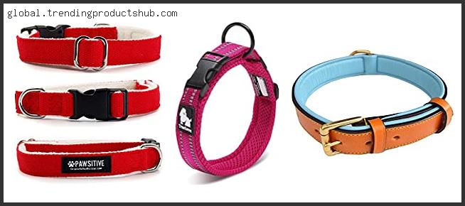 Top 10 Best Collar For Dogs With Sensitive Skin In [2024]