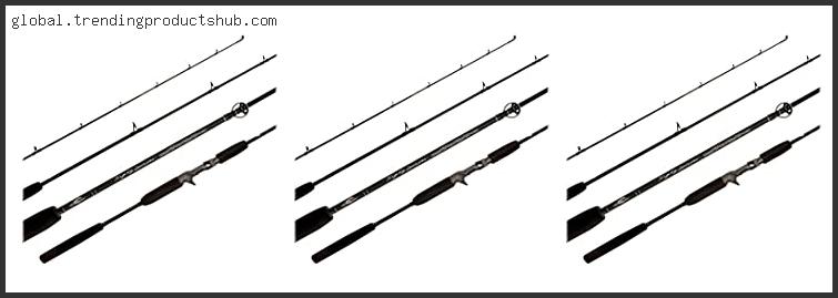 Top 10 Best Slow Pitch Jigging Rod Based On User Rating