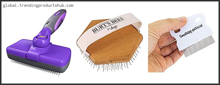 Top 10 Best Brush For Havanese Reviews With Products List