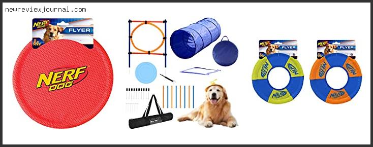 Buying Guide For Best Dog Frisbee For Training Reviews With Scores