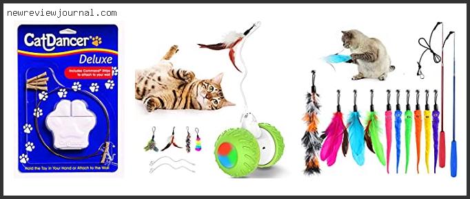 Deals For Best Cat Toys For Energetic Cats – To Buy Online