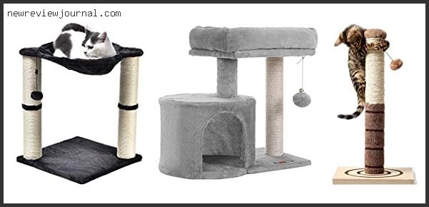 Deals For Best Scratching Post For Older Cats Reviews With Scores