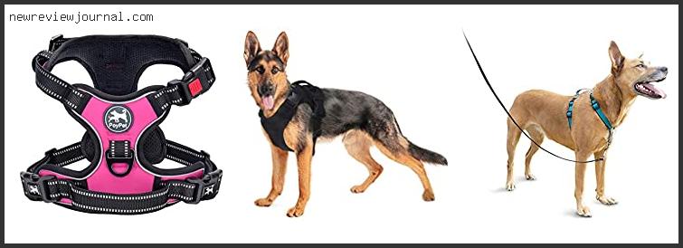 Buying Guide For Best Y Harness For Dogs Reviews With Products List