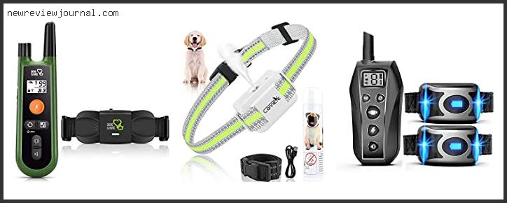 Deals For Best Humane Dog Training Collars In [2024]