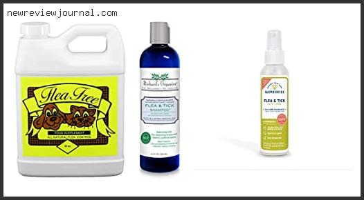 Buying Guide For Best Organic Flea Treatment For Dogs – To Buy Online